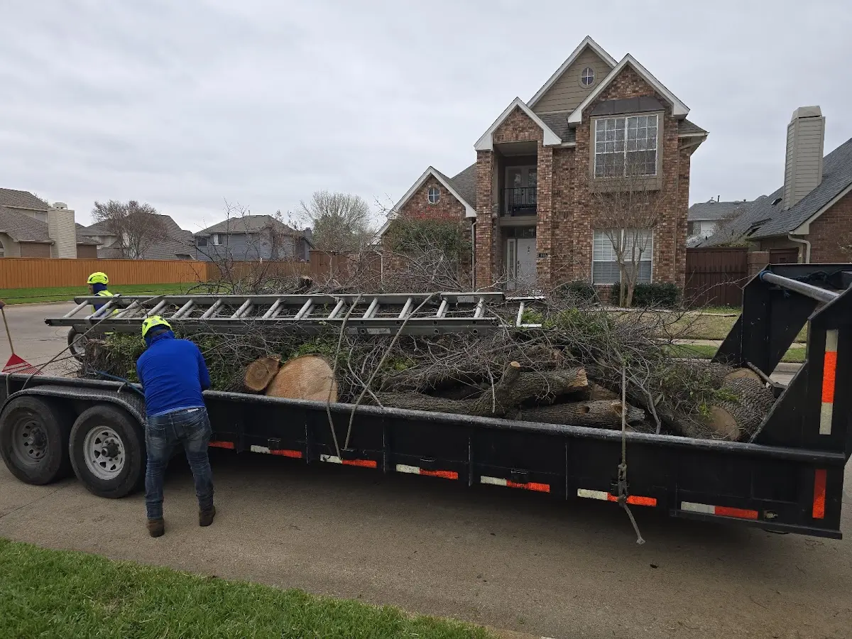 Expert Lot Clearing with proper safety equipment in Parlin